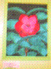 flower show2004 104.jpg